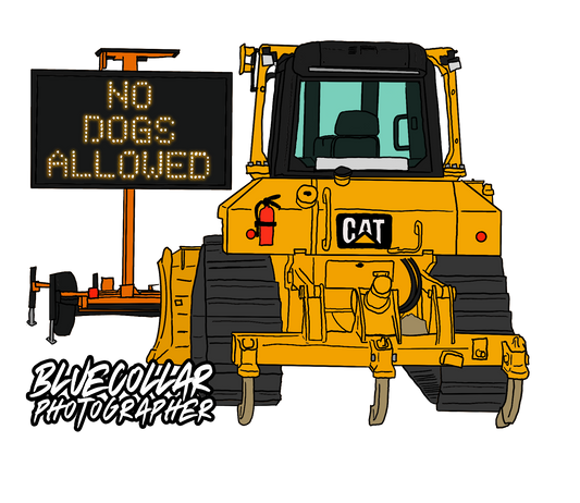 New 2" Sticker - No Dogs Allowed